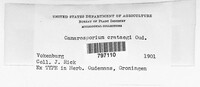 Image Associated With the Occurence